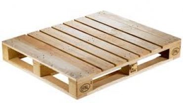 Pallet gỗ – Những lưu ý khi sử dụng pallet gỗ trong kho lạnh